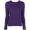 Polo Ralph Lauren Sweaters Purple Purple